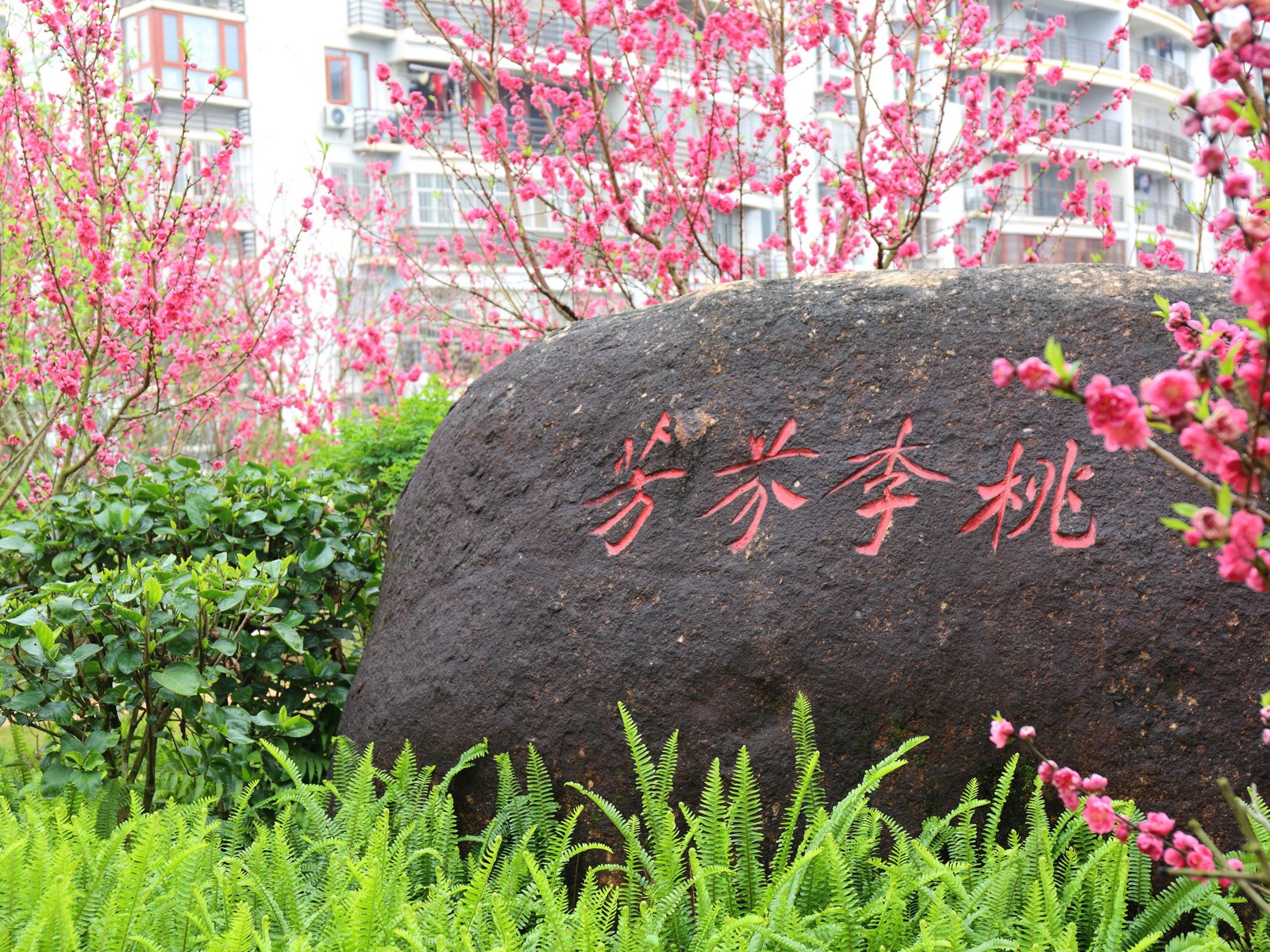 “桃李芬芳”石刻