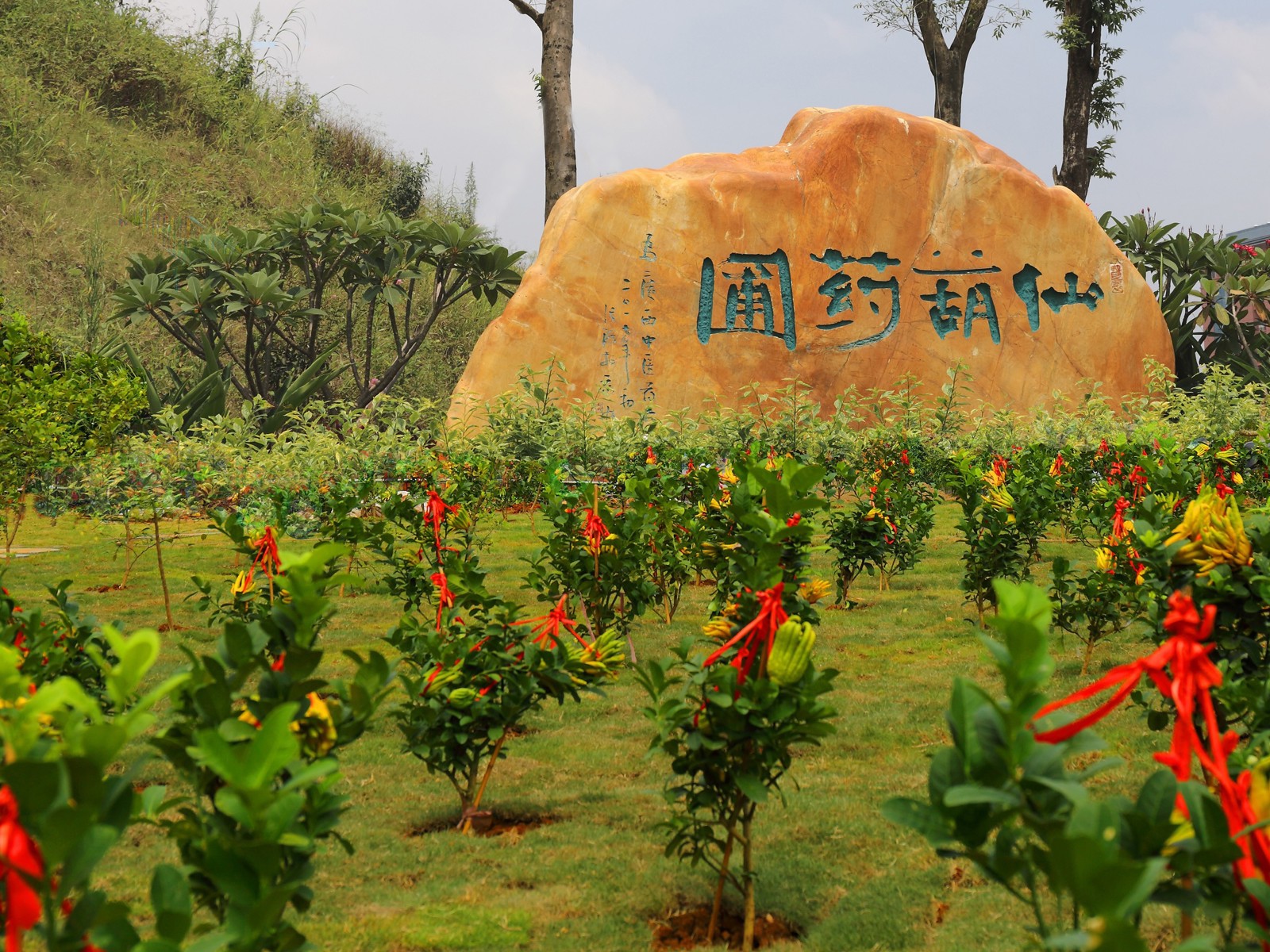 仙葫药圃