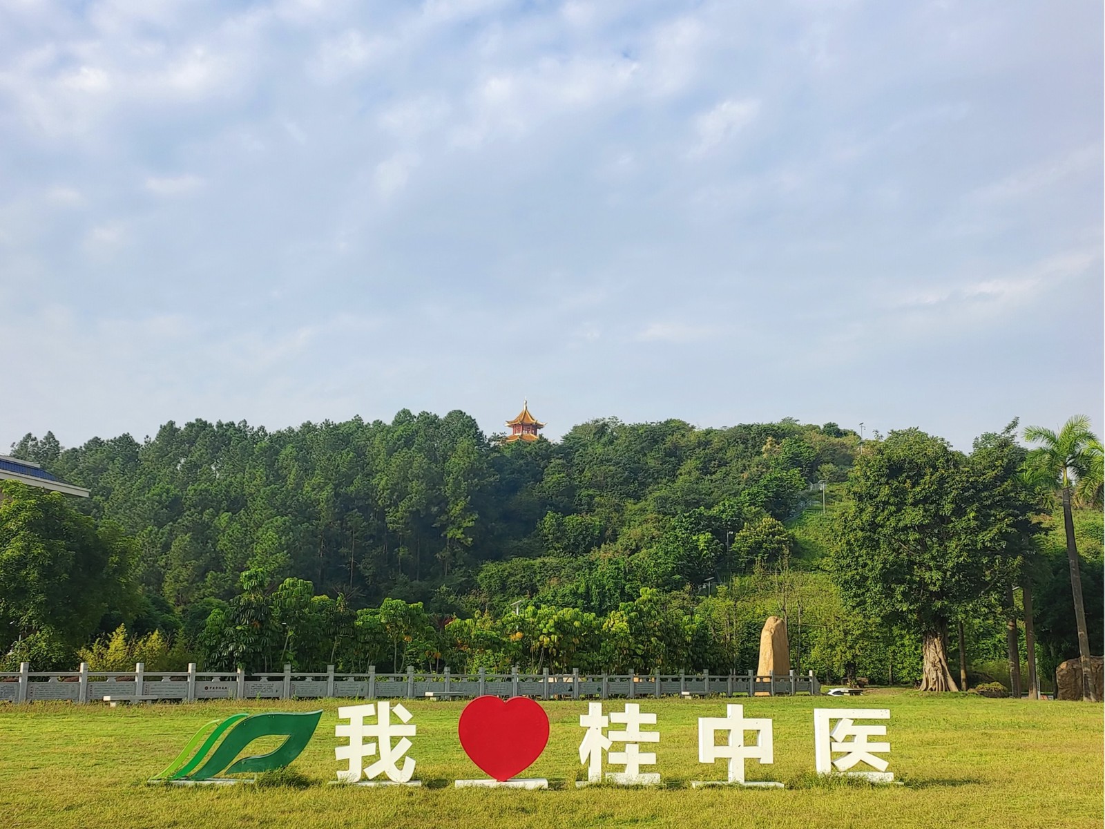 我爱桂中医