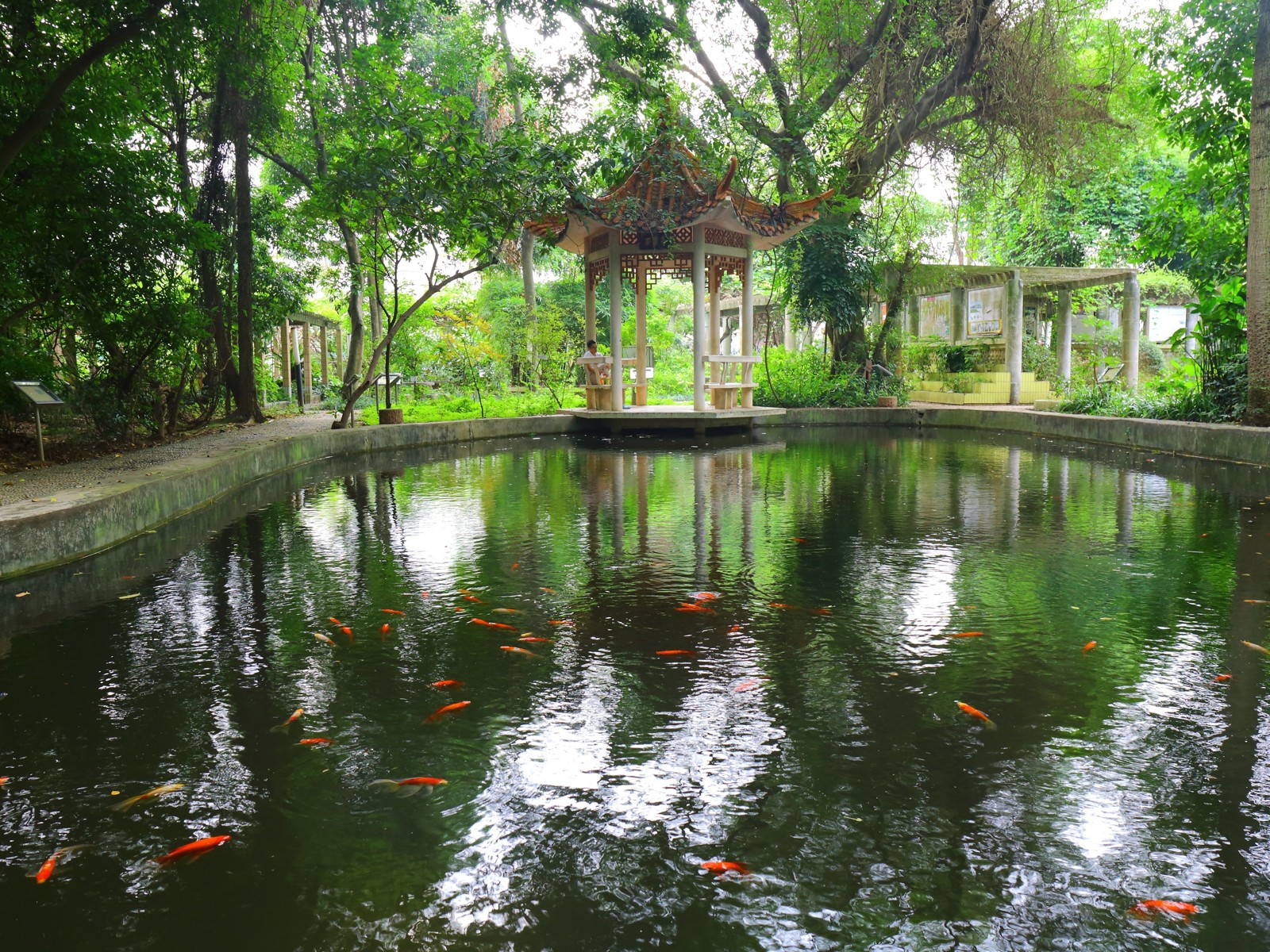 明秀校区药用植物园