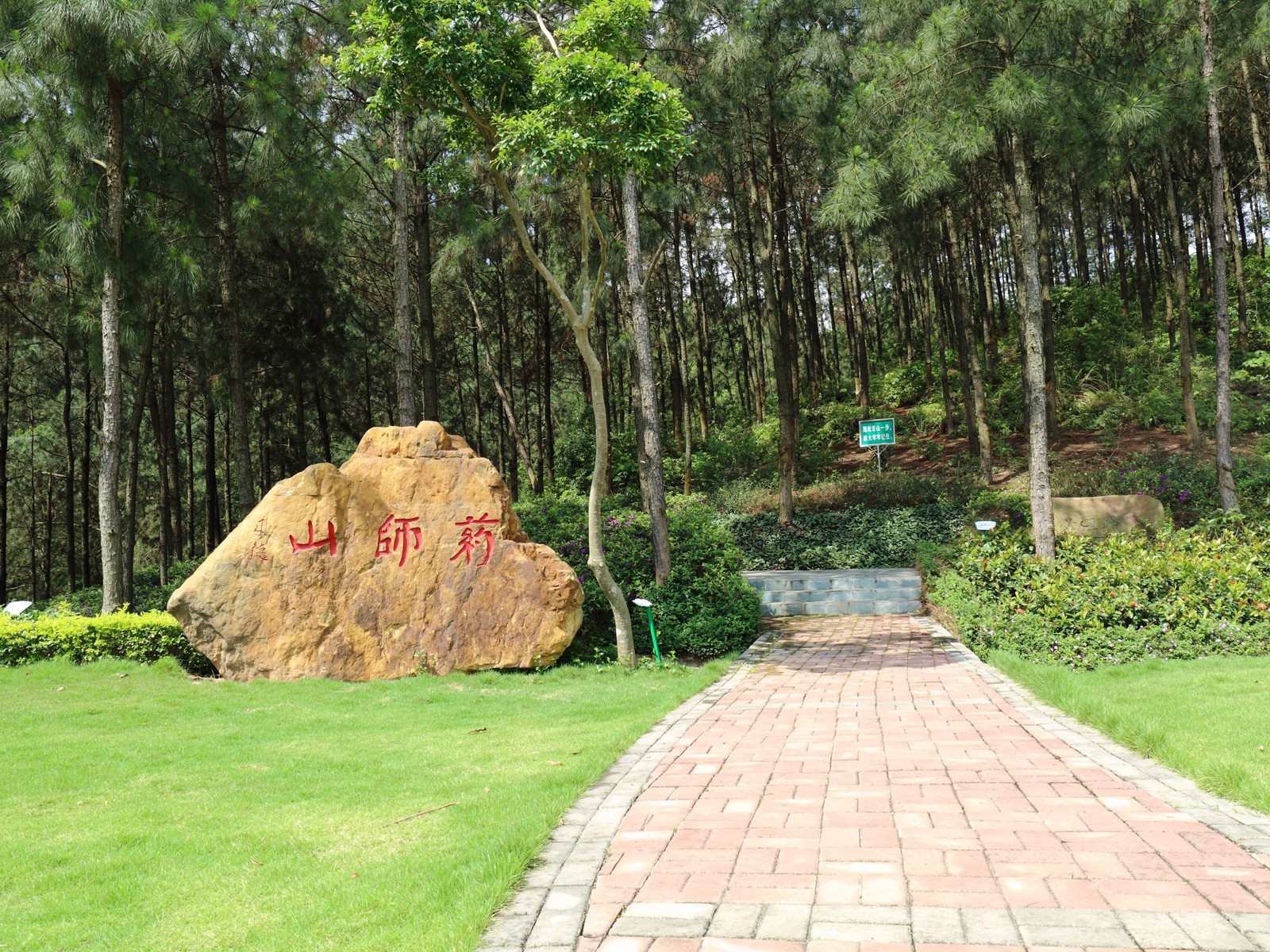 药师山