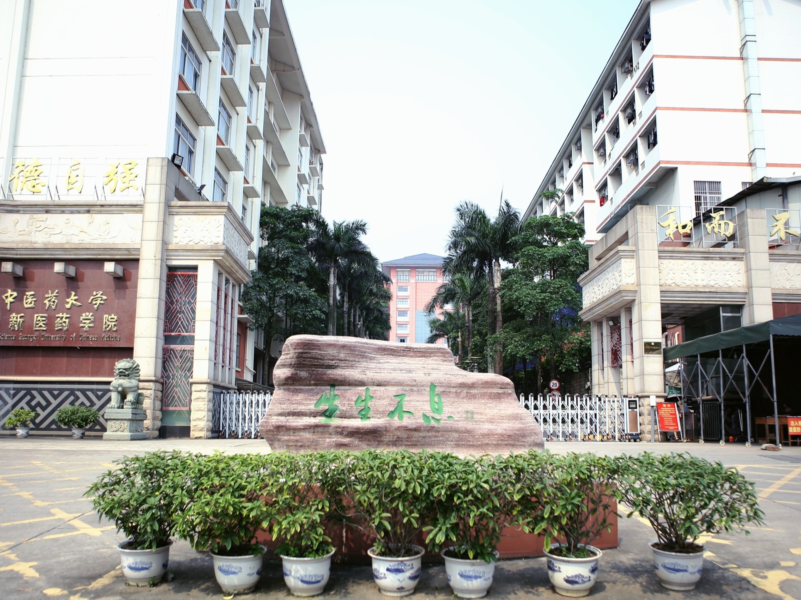 广西中医药大学赛恩斯新医药学院校门